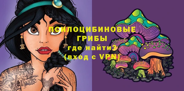 тгк Майский