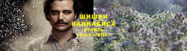 крисы Березники