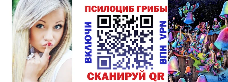 Галлюциногенные грибы Psilocybe Циолковский