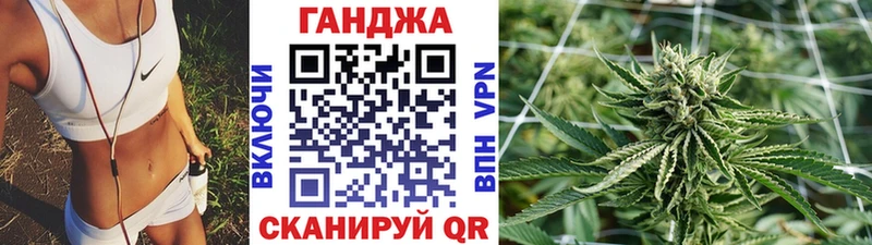 где купить   Циолковский  Канабис план 